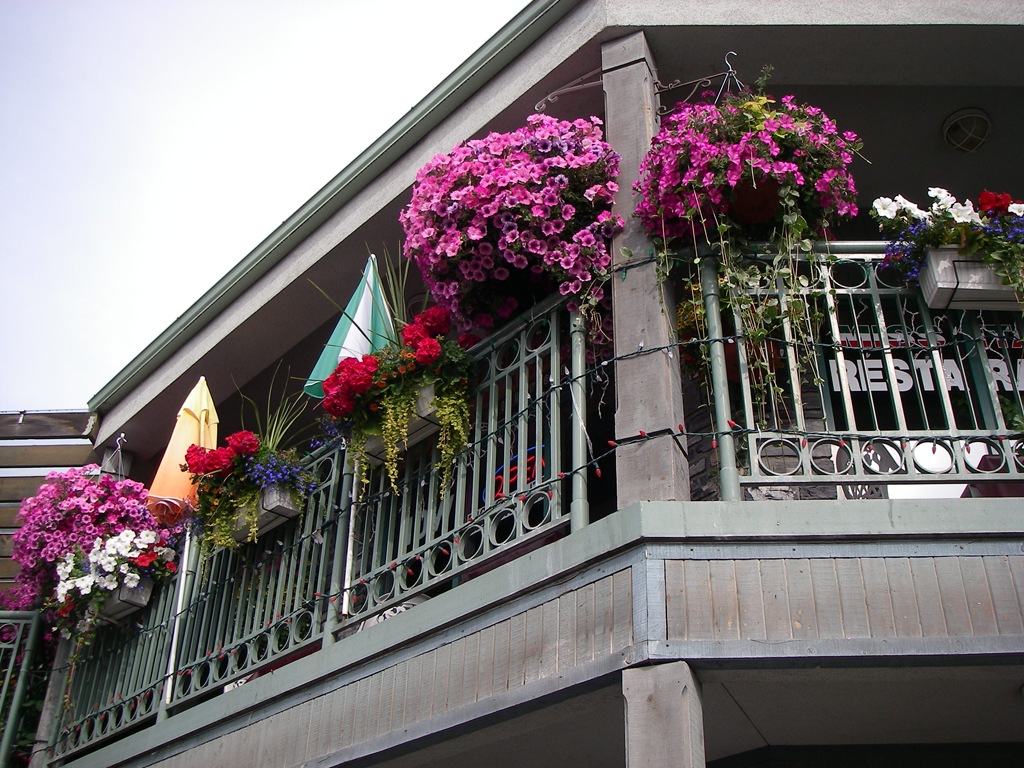 [AK09 Leg 9a 004[4].jpg]