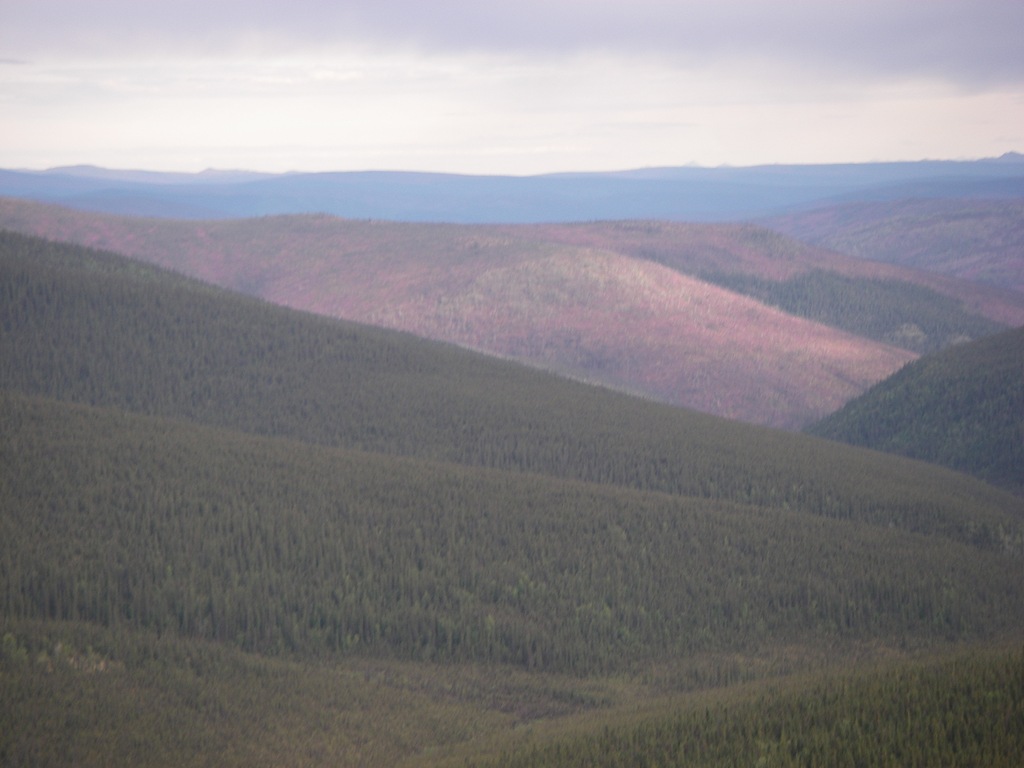 [AK 09 Leg 16, Dawson City to Chicken 003[4].jpg]