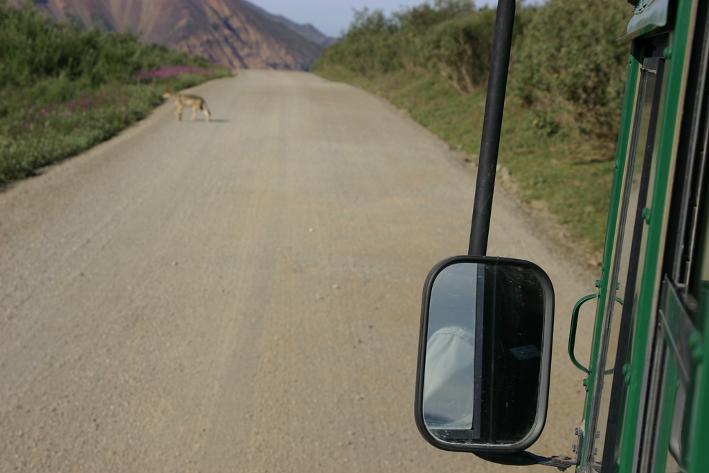 [AK09 Leg 19, Fairbanks to Denali, 3 024[7].jpg]