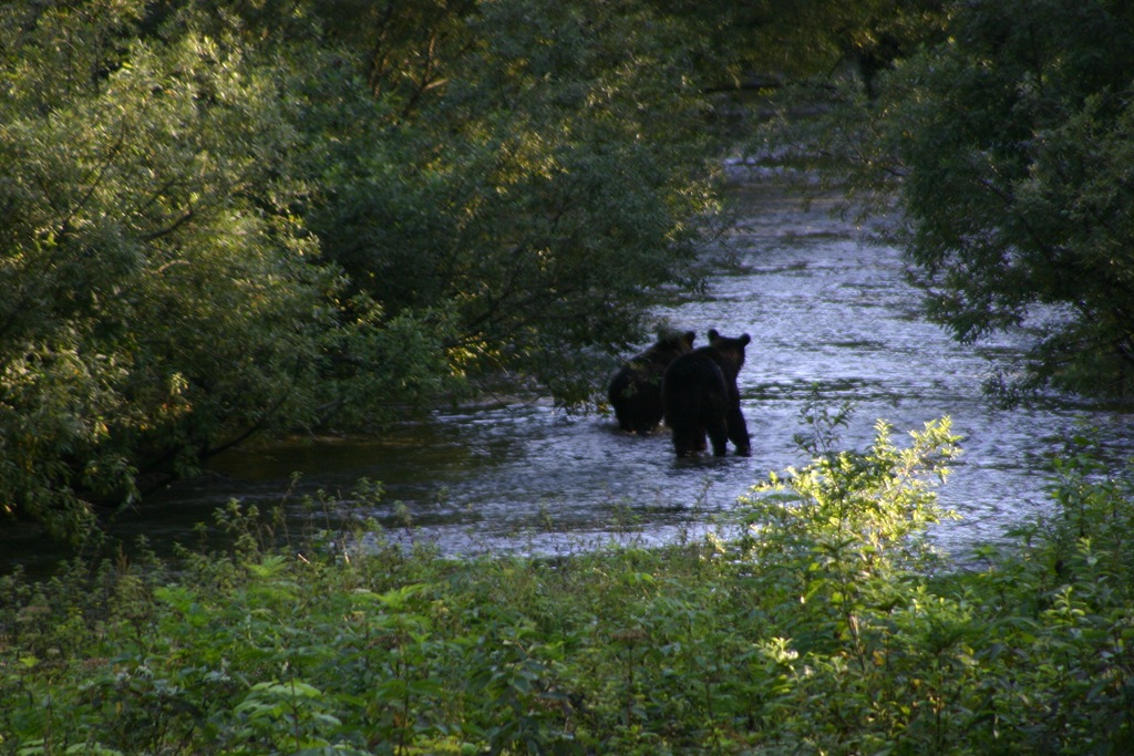 [AK09 Leg 31, Iskut to Stewart and Hyder 004[4].jpg]