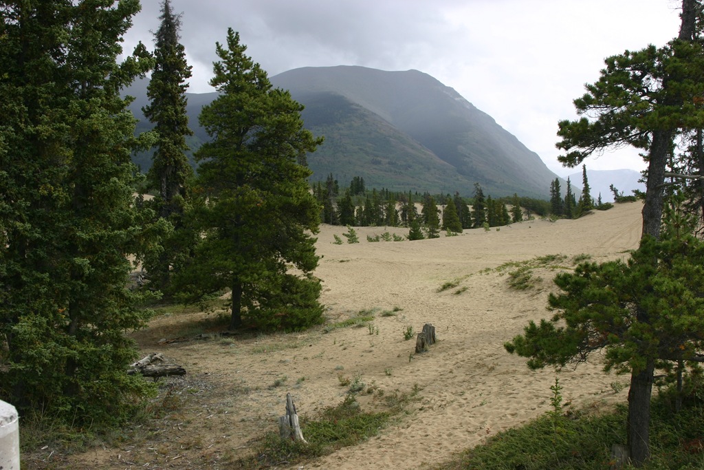 [AK 09 Leg 26 & 27, Valdez to Tok to Destruction Bay, 2 028[4].jpg]