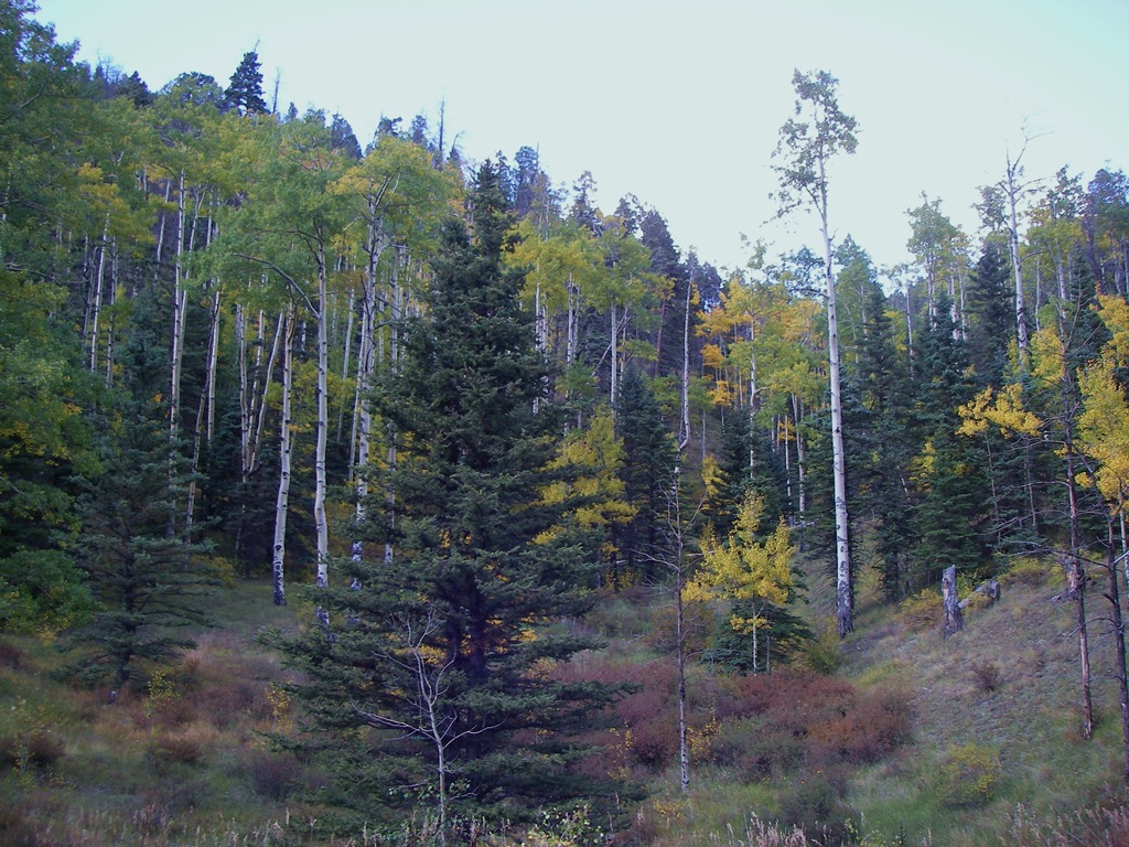 [SW USA 2008, Day 5 039[4].jpg]