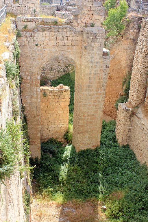 [IMG_0556 blog[4].jpg]