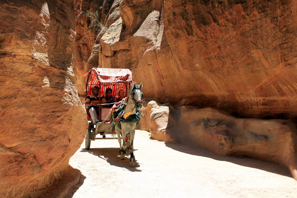 [IMG_0916 blog[4].jpg]