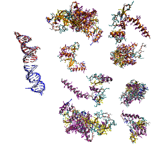 bonds-chain-structure_ribbons-trace-hbonds-newribbons-ribbons-MASS_newcartoon-structure-chain bonds-chain-structure_ribbons-trace-hbonds-newribbons-ribbons-MASS_newcartoon-structure-chain
