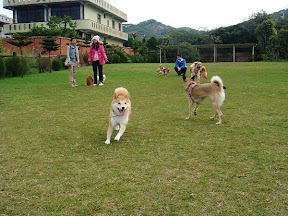 小米於100號牧場過元旦(原發表者:小米家)(相簿)