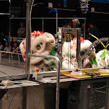View FIRST Robotics Competition Hawaii Regional 2008