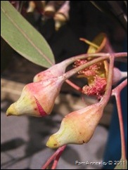 IMG_0004 IMG_0004