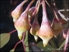 IMG_0006 IMG_0006