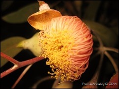 IMG_0032 IMG_0032
