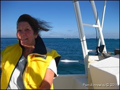 IMG_0049 IMG_0049