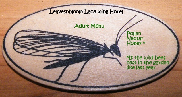 [adult menu[8].jpg]