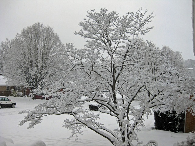 [snowstorm#3_0016_edited-1[2].jpg]