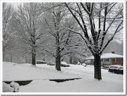 snowstorm#3_0018_edited-1