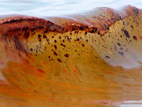 A wave in the Alabama Surf