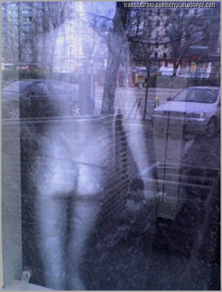 SP_A1829