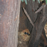 DSCN1500.JPG