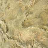 DSCN1519.JPG