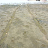 DSCN1532.JPG