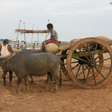 DSCN1557.JPG