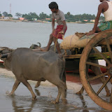 DSCN1558.JPG