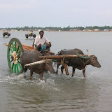 DSCN1563.JPG