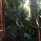 Elephants on the Jungle Cruise