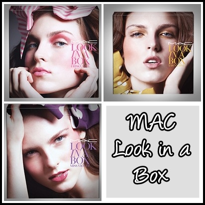[MAC-Look-in-a-Box-2010[7].jpg]