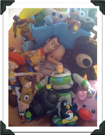 A Real Toy Story