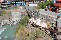 Sudame 050.JPG Photo