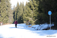 IMG_4794.JPG Photo