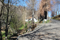 IMG_5980.JPG Photo