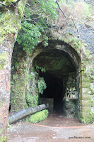 IMG_8245.JPG Photo