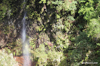 IMG_8255.JPG Photo