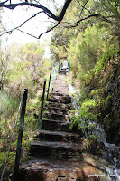 IMG_8260.JPG Photo