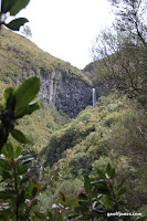 IMG_8263.JPG Photo