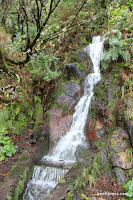 IMG_8264.JPG Photo