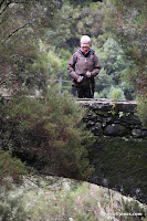 IMG_8291.JPG Photo