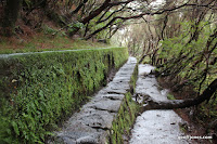 IMG_8295.JPG Photo