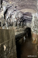 IMG_8314.JPG Photo