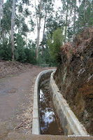IMG_8321.JPG Photo