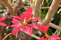IMG_8328.JPG Photo