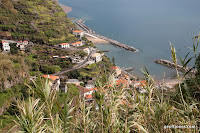 IMG_8332.JPG Photo