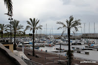 IMG_8341.JPG Photo