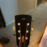 The headstock of the guitar I played.  The truss rod cover is magnetized and pops off.
