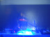 DSC01006.JPG