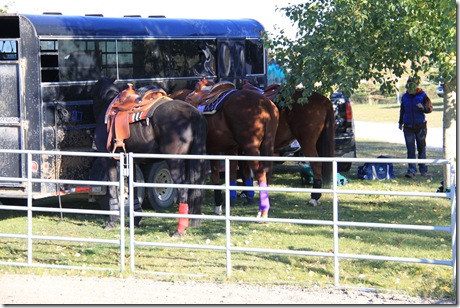 The Equine Team