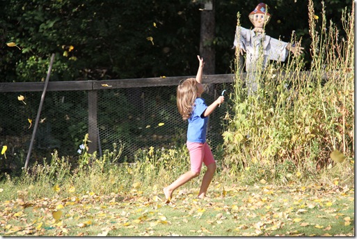 Catching Leaves