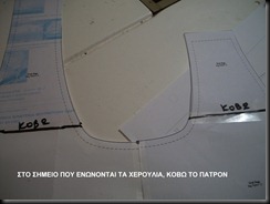 101_0096 101_0096