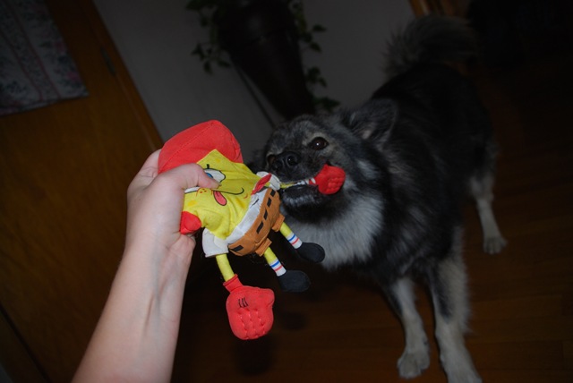 [DSC_0010[3].jpg]